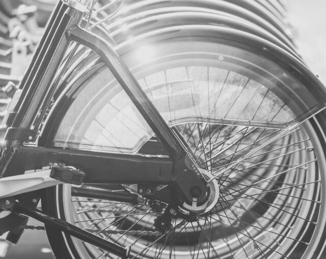 Adding cycling into curriculum could become part of city advocacy: Logtenberg